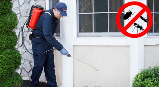 Kayseri Karınca İlaçlama böcek ilaçlama ve haşere kontrolü — ilaclama-tr.com